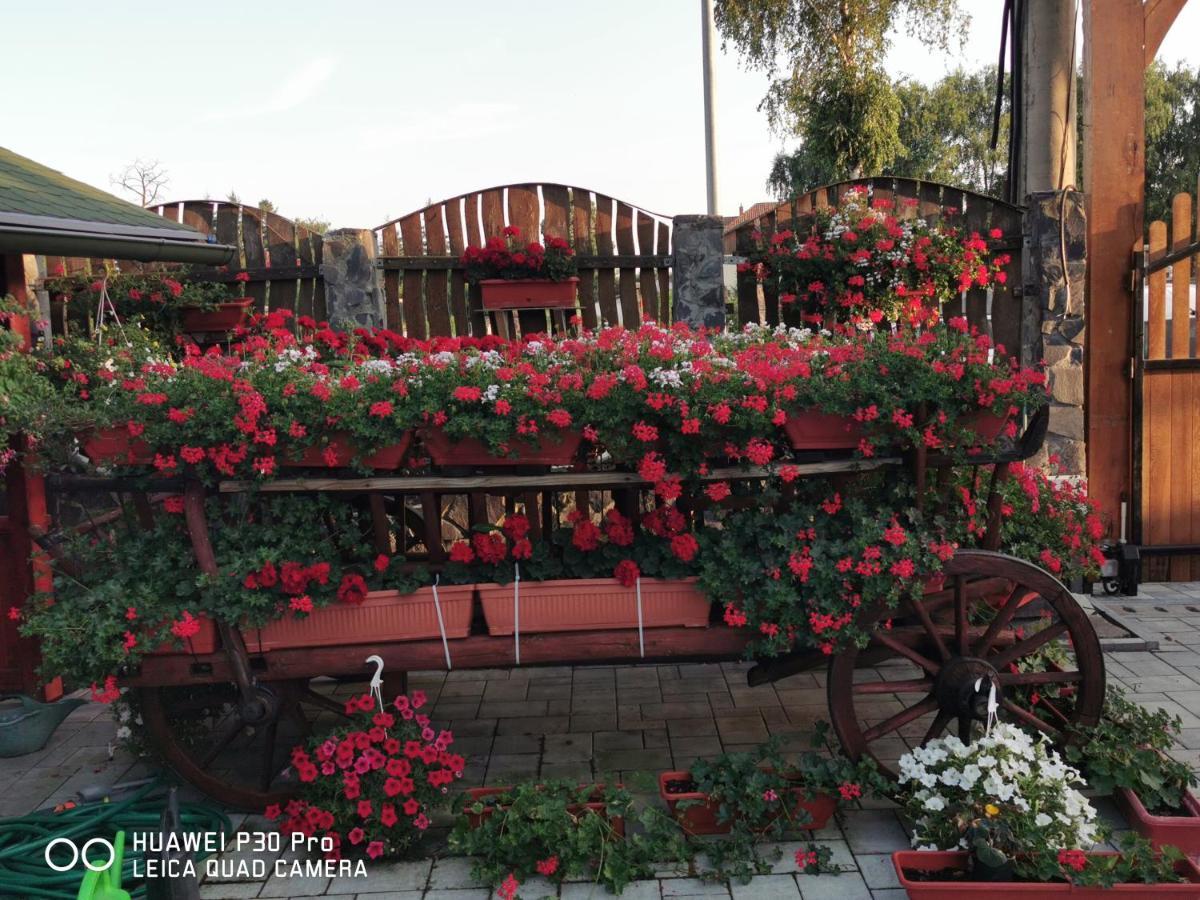 Sepsi Relax Hotel Sfântu-Gheorghe Exterior foto
