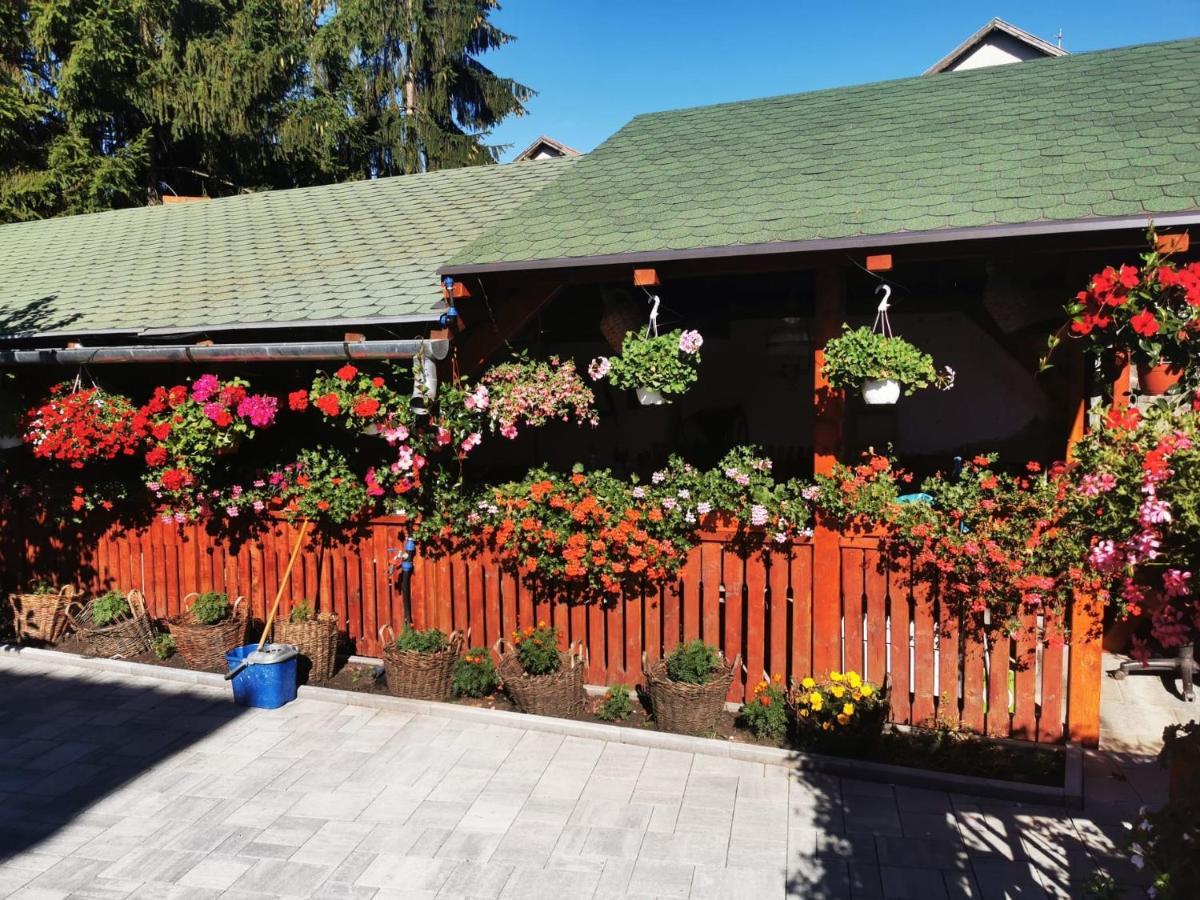 Sepsi Relax Hotel Sfântu-Gheorghe Exterior foto
