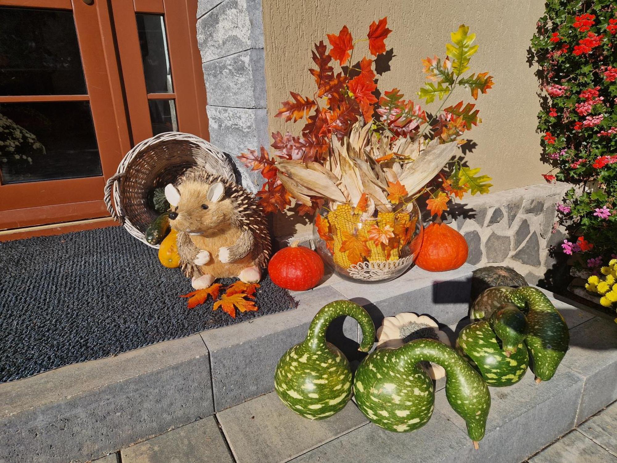 Sepsi Relax Hotel Sfântu-Gheorghe Exterior foto